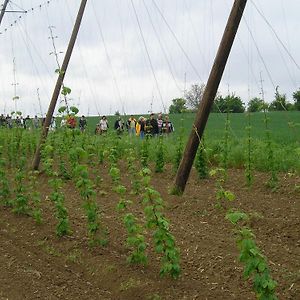 A l'étoile d'or